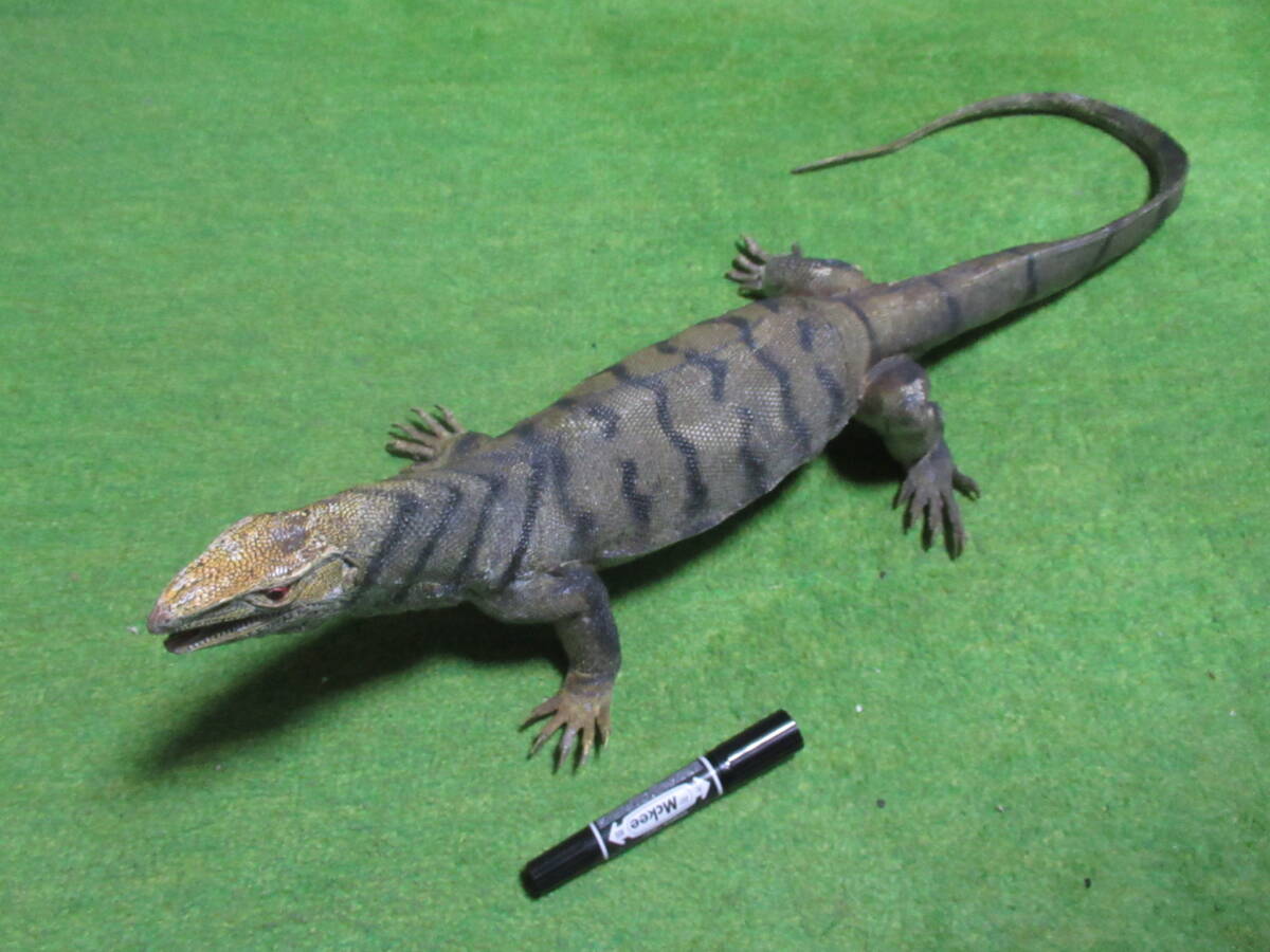 リアル フィギュア コモドドラゴン コモドオオトカゲ 約72cm拍卖
