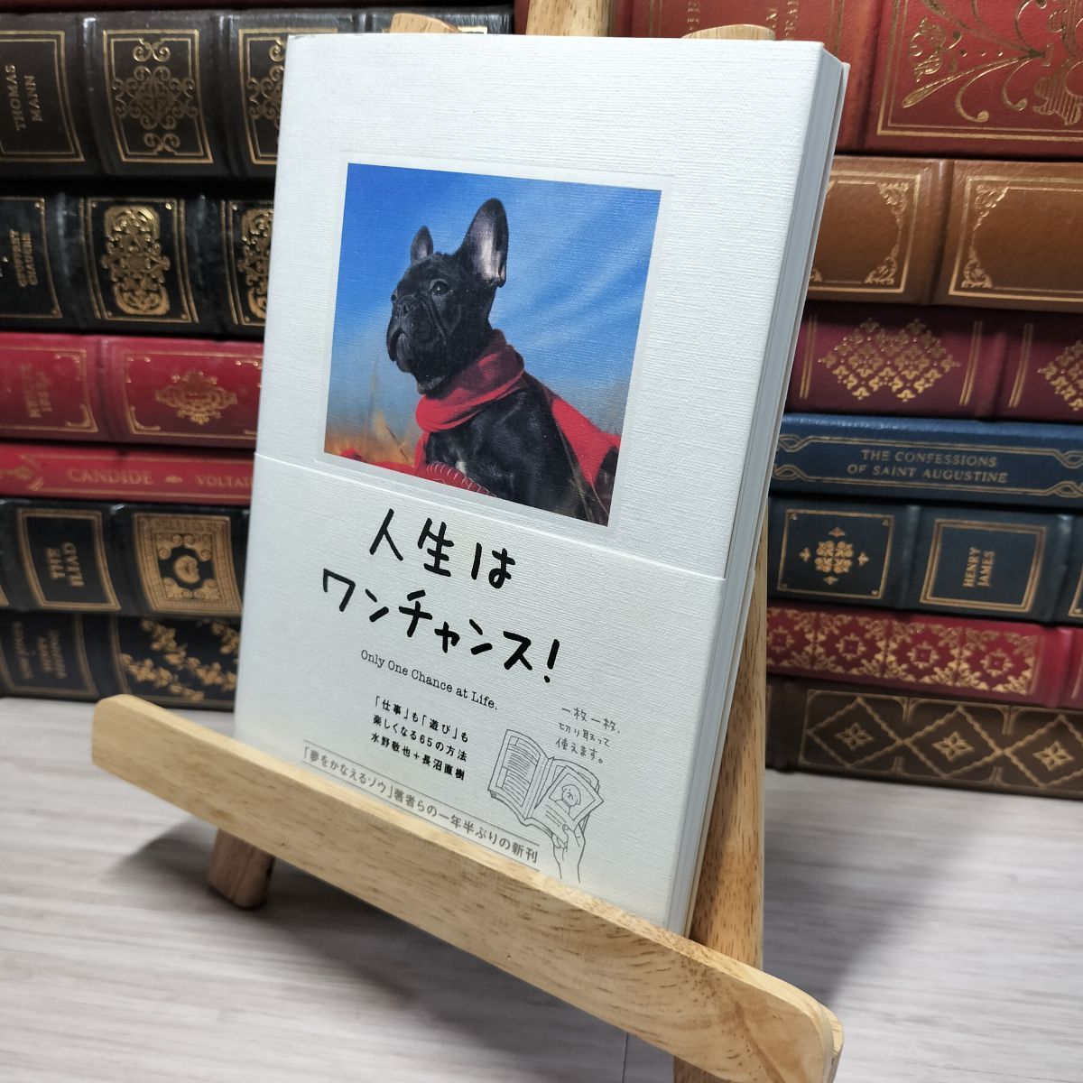 8-1 人生はワンチャンス! ―「仕事」も「遊び」も楽しくなる65の方法 水野敬也、長沼直樹 013655拍卖