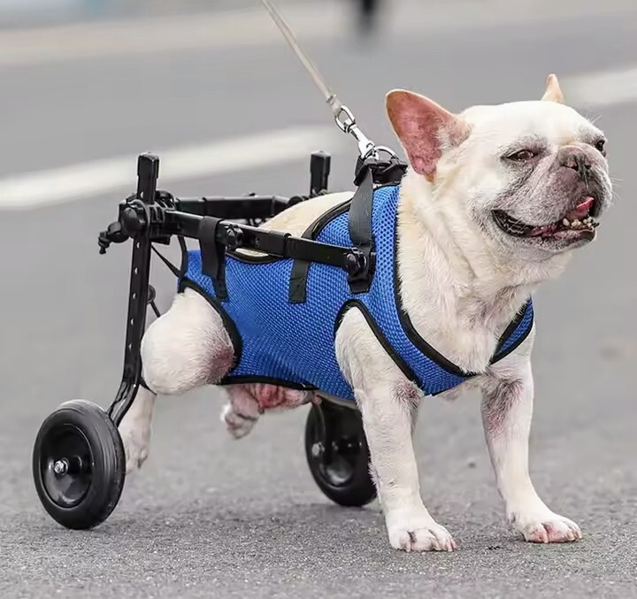 犬用 車椅子 小型犬用 メッシュ拍卖