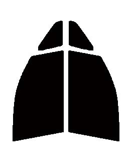 ブロンズメタル10(10%) 運転席・助手席 ヴォクシー R70・R75 カット済みカーフィルム拍卖