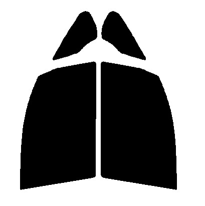 GY-3IR 運転席・助手席 エスクァイア R80・R85 カット済みカーフィルム拍卖