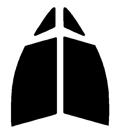 ブロンズメタル55(55%) 運転席・助手席 アルファード H10W・H15W カット済みカーフィルム拍卖