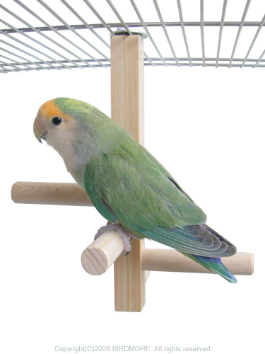 HOEIホーエイ 訳有 らせん階段状天然木止まり木メリーパーチバードトイトーイキンカチョウカナリアフィンチセキセイインコマメルリハ文鳥拍卖