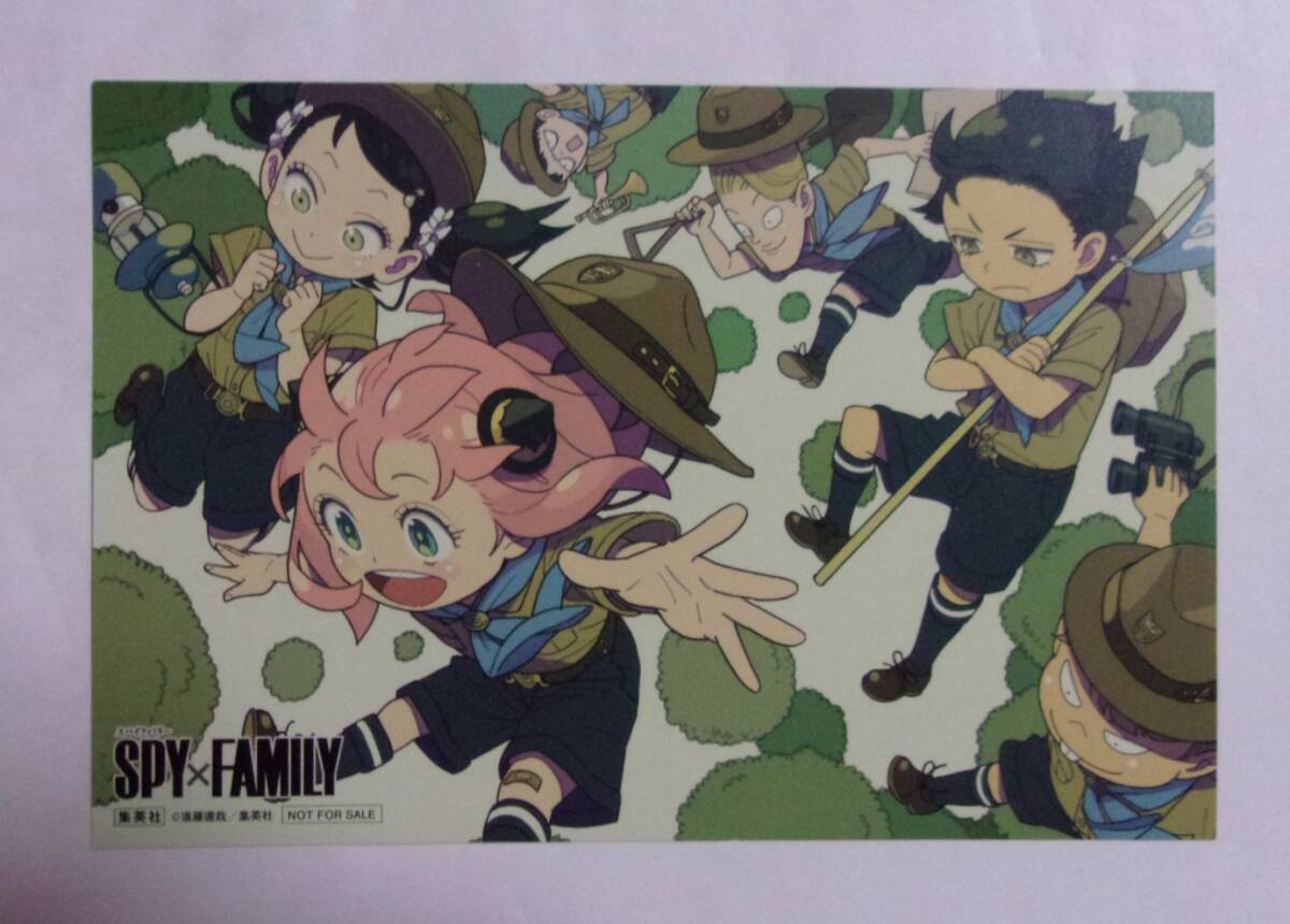 【イラストカード】 スパイファミリー SPY×FAMILY コミックス12巻購入特典 遠藤達哉/集英社 非売品拍卖