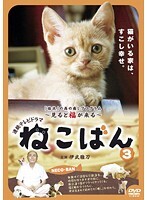 【中古】《ケースなし》連続テレビドラマ ねこばん 3  b23687/FMDR-9368【中古DVDレンタル専用】拍卖
