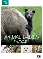 【中古】《ケースなし》BBC EARTH アニマル・ベビー 野生の成長物語 b47723【レンタル専用DVD】拍卖
