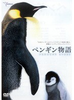 【中古】《ケースなし》ペンギン物語 b49468【レンタル専用DVD】拍卖