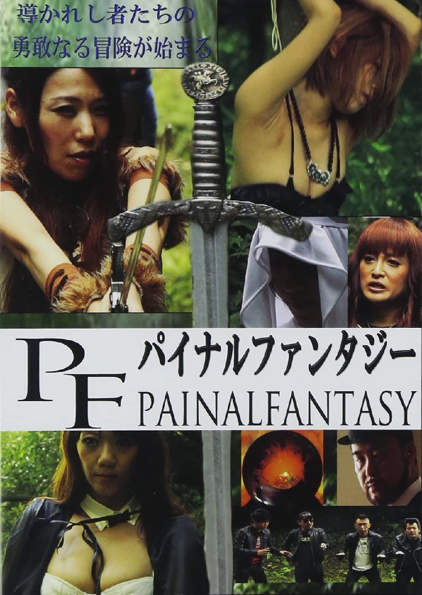 【中古】《ケースなし》■パイナルファンタジー b48075 j52【レンタル専用DVD】拍卖