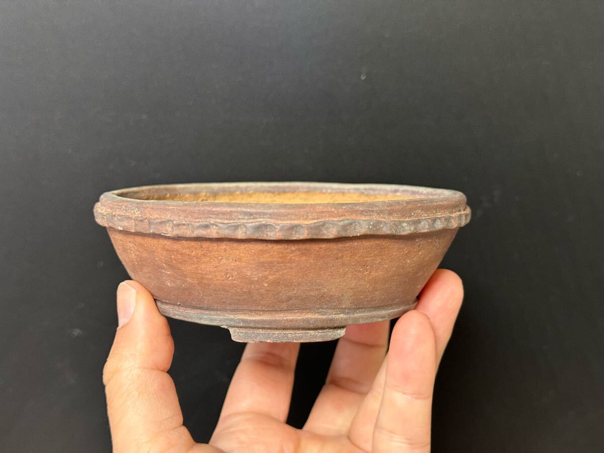 盆栽鉢【富舟】①拍卖