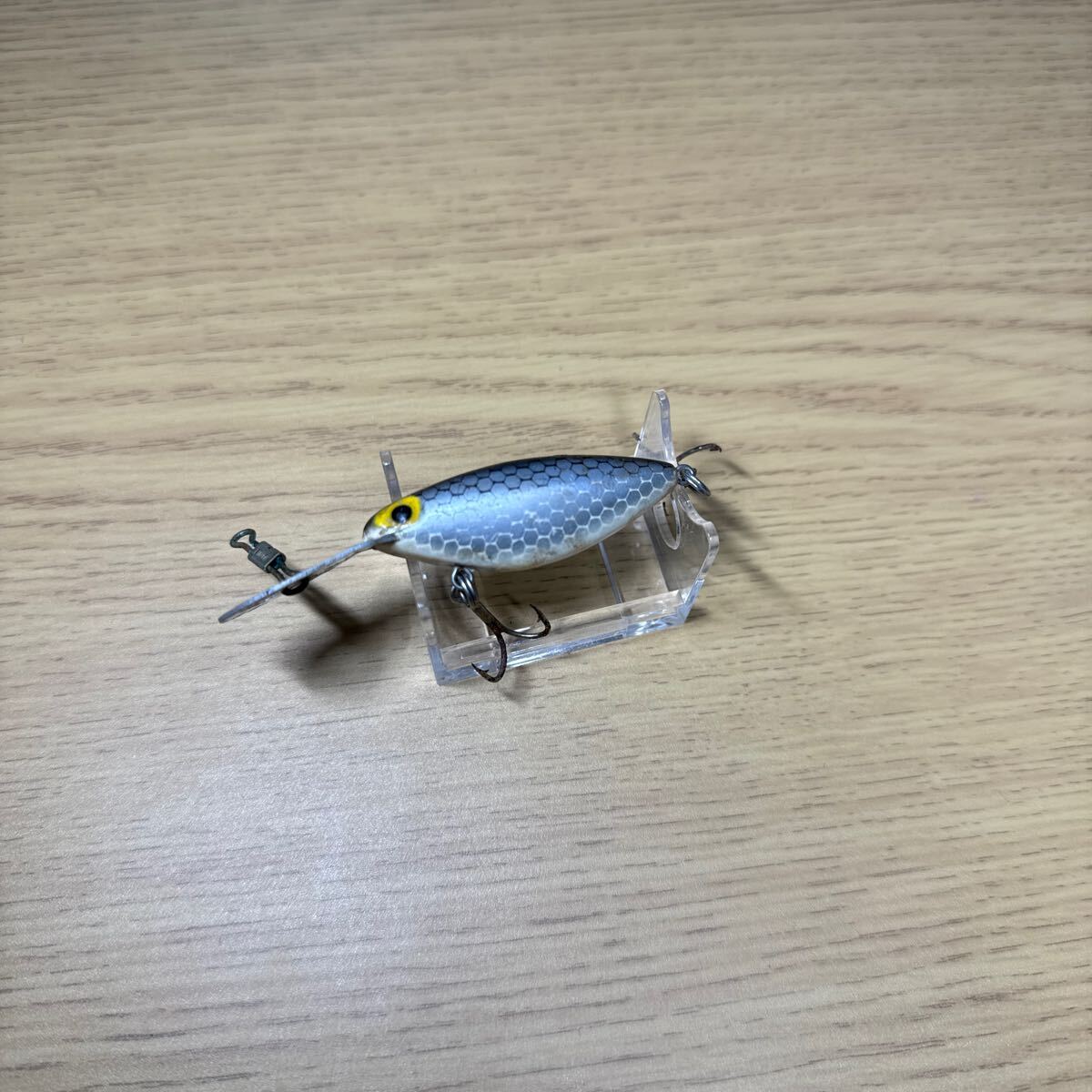 ストーム スィンフィン ホッテントット 約50mm(ID05410)拍卖