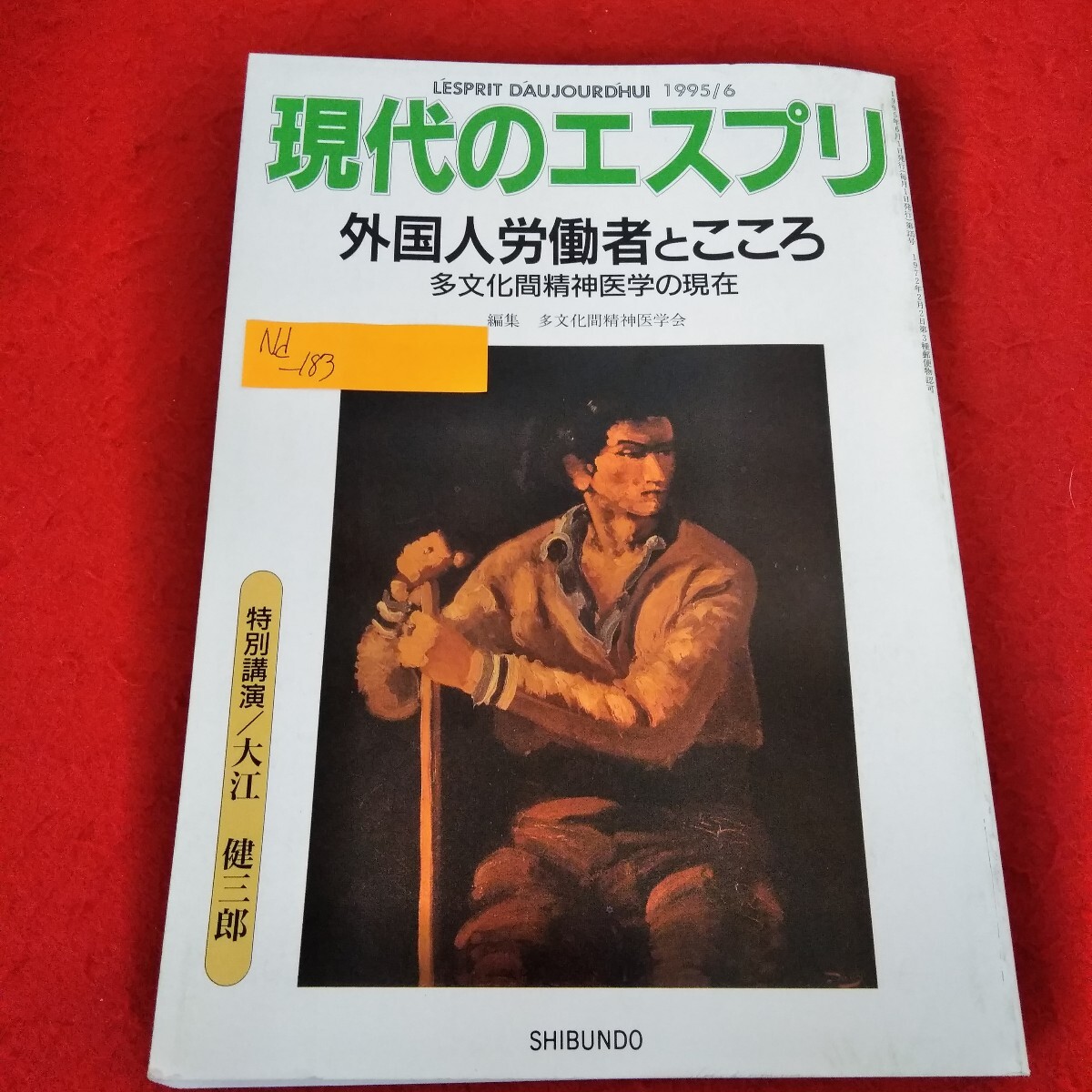 Nd-183/現代のエスプリ 1995年6月号 外国人労働者とこころ 多文化間精神医学の現在 大江健三郎 至文堂/L3/70312拍卖