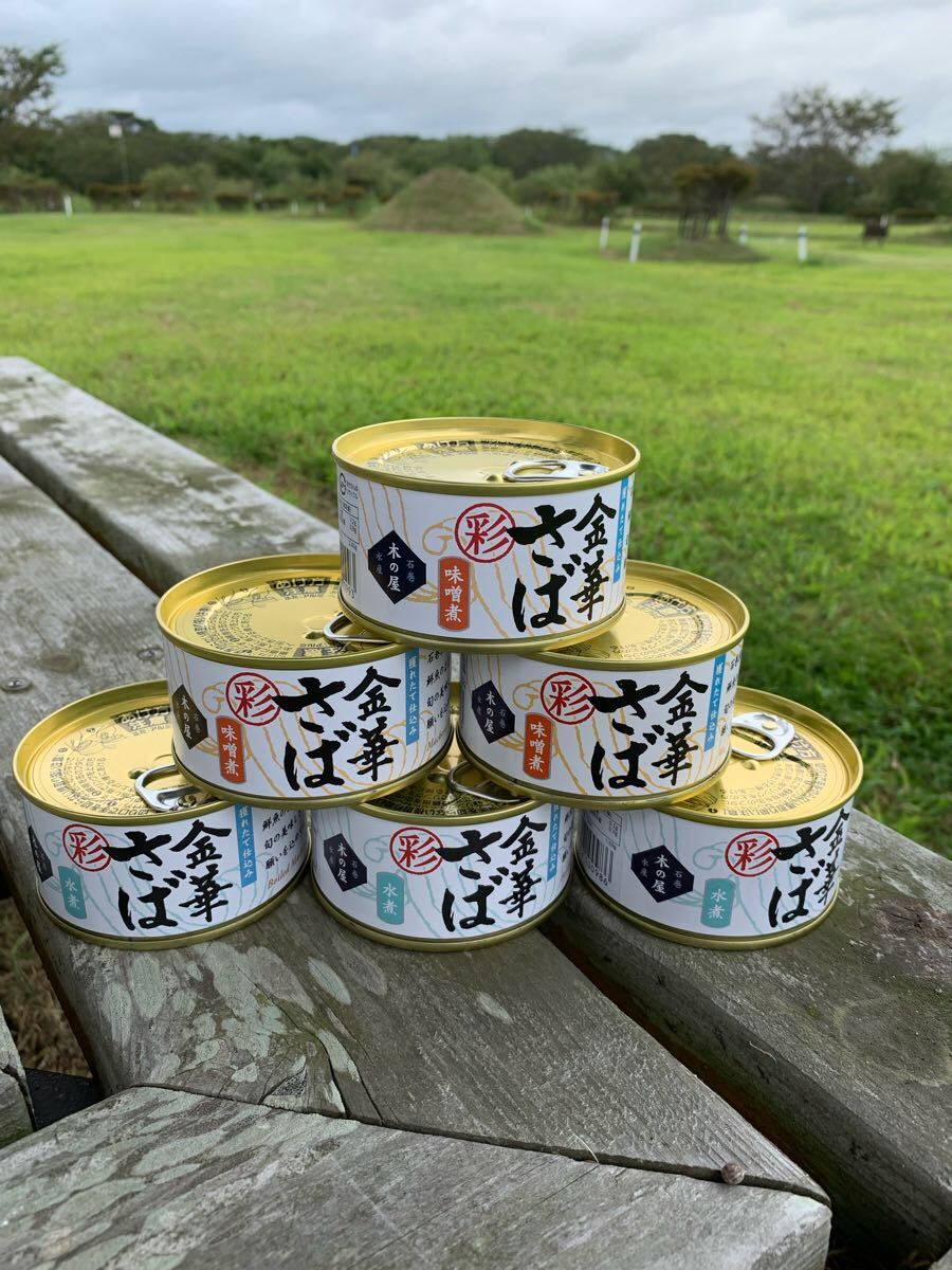 木の屋石巻水産 金華さば 彩拍卖