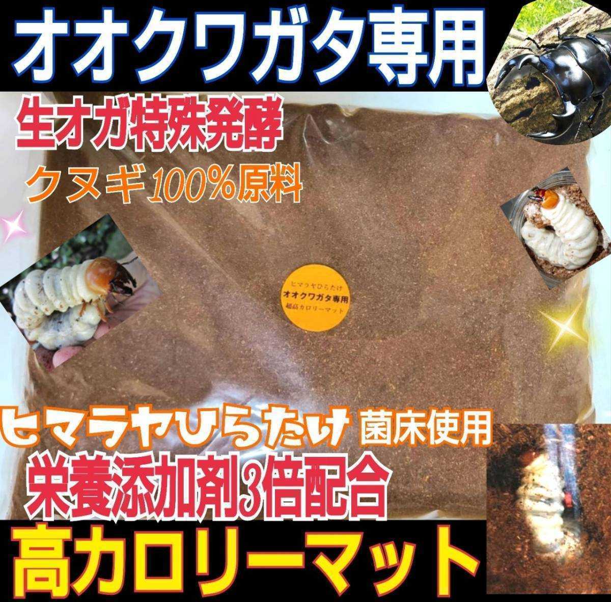 送料無料!オオクワガタ専用☆超高カロリーマット ☆クヌギ生オガ特殊発酵!共生バクテリア・特殊アミノ酸など栄養添加剤3倍配合!プロ仕様拍卖