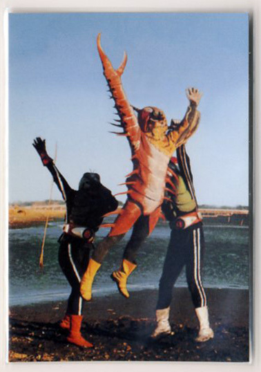 ◆防水対策 厚紙補強 カルビー 仮面ライダーチップスカード(2003 復刻版) 515番 また出たぞ ムカデタイガー トレカ 即決拍卖