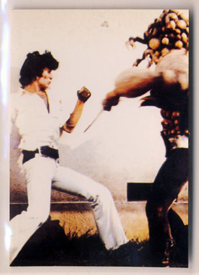 ◆防水対策 厚紙補強 カルビー 仮面ライダーチップスカード(2003 復刻版) 259番 襲うシラキュラス トレカ 即決拍卖