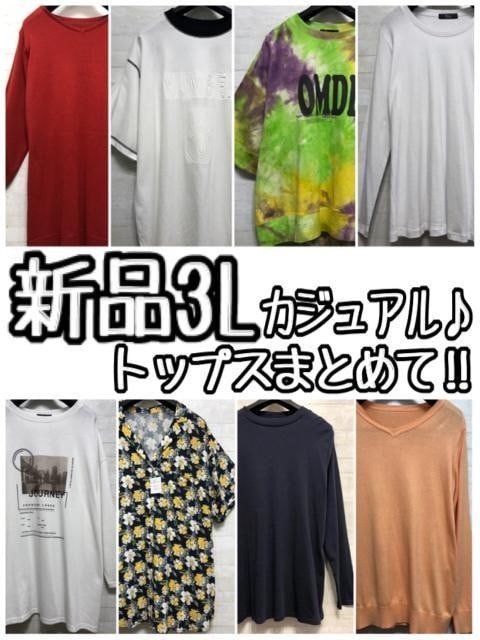 新品☆3L♪カジュアルトップス8枚まとめて!!お得セット〇L110拍卖
