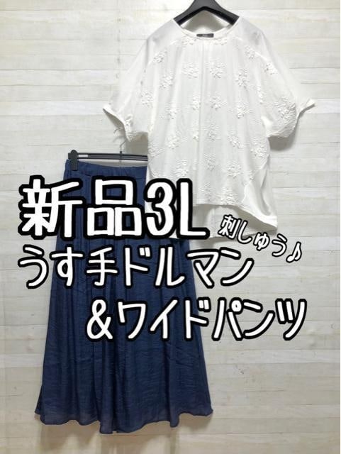 新品☆3L♪うす手ドルマントップス&ふわっとワイドパンツ♪〇G597拍卖