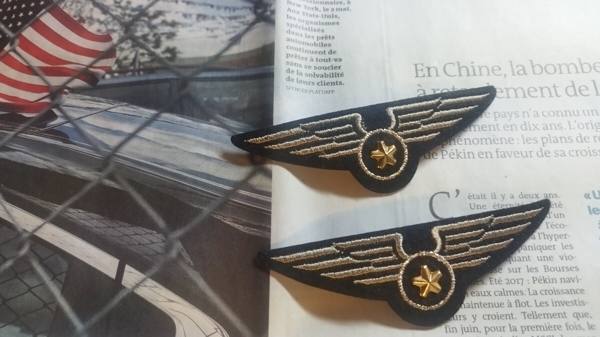 レア【ミリタリー ワッペン 2枚セット】当時物 軍物 アメリカ軍 ミリタリーウェア 階級章 襟章 航空胸章拍卖