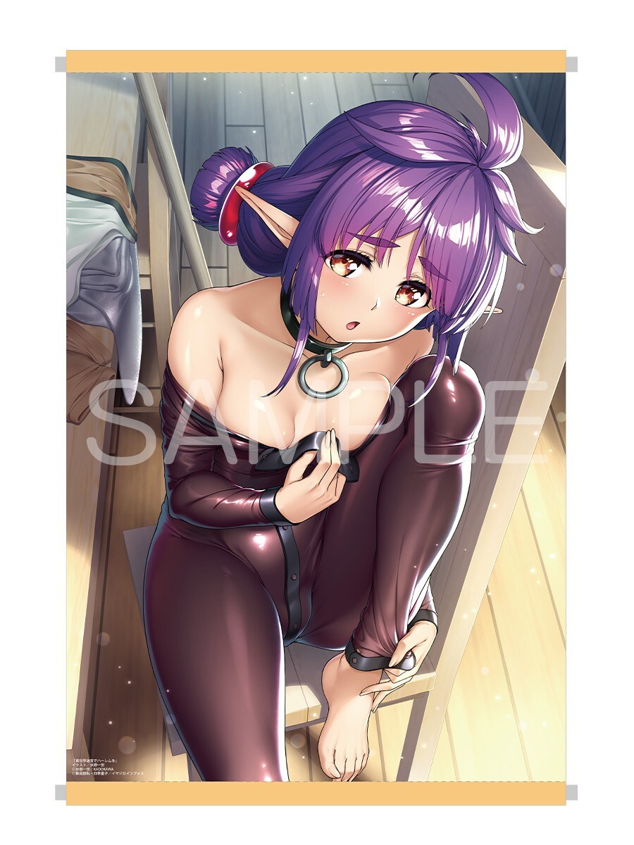 異世界迷宮でハーレムを 11巻 メロンブックス有償特典 B2タペストリー 氷樹一世 蘇我捨恥 四季童子拍卖