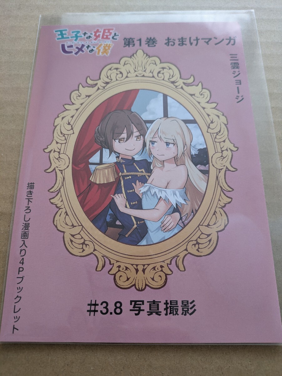 王子な姫とヒメな僕 1巻 ゲーマーズ購入特典 描き下ろし漫画入り4Pブックレット 三雲 ジョージ拍卖