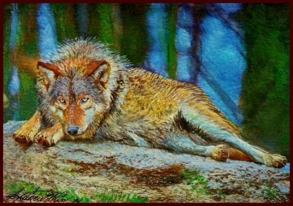 ☆☆パステル 原画 「オオカミ 森の女王」 王者の風格拍卖