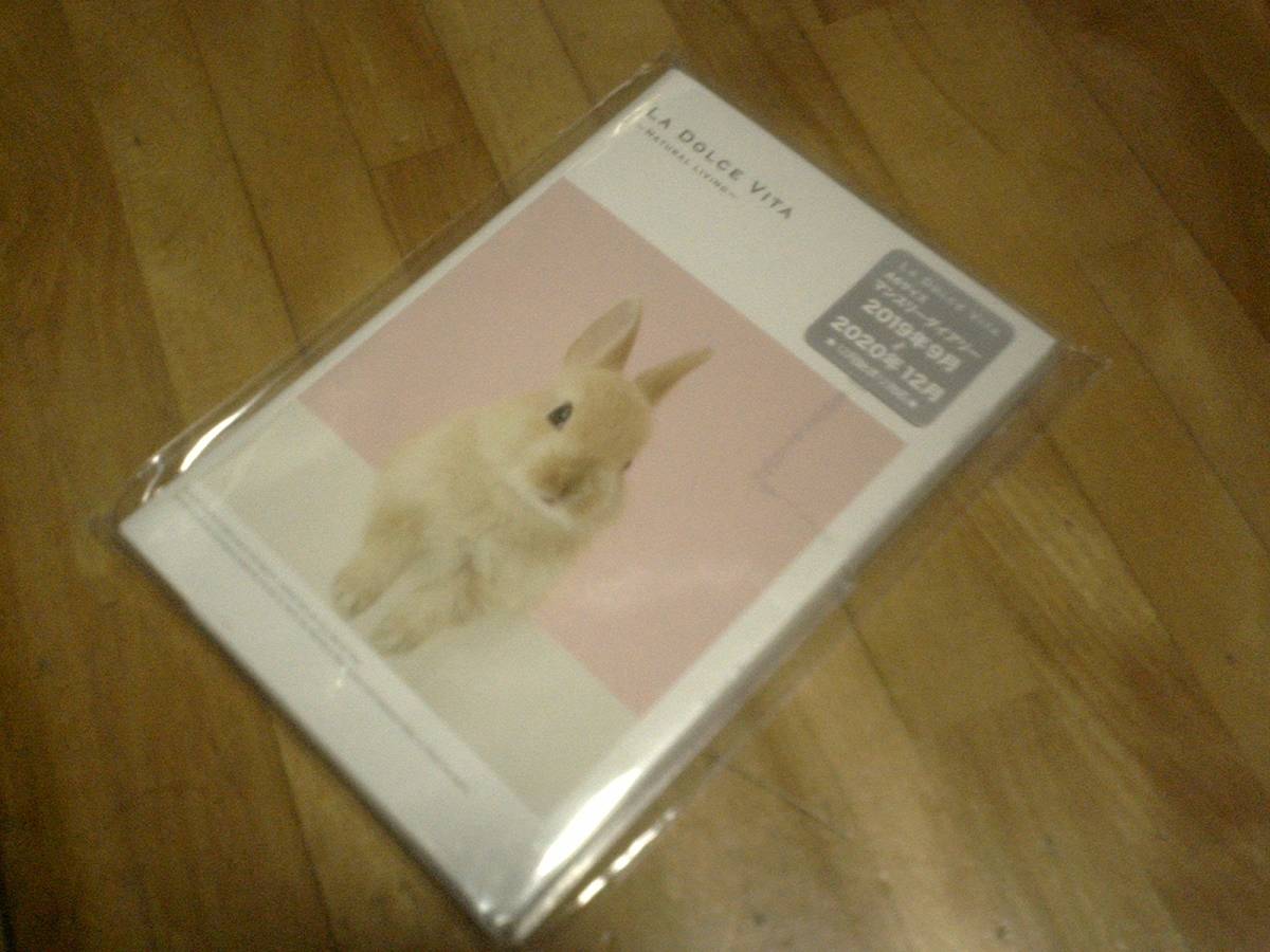 § マインドウェイブ MONTHLY DIARY 2020 手帳 ウェイティングラビット A6 la dolce vita拍卖