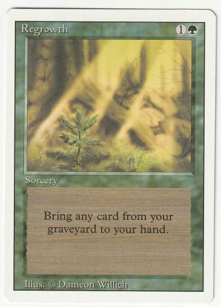 リバイズド 新たな芽吹き/Regrowth 英語1枚拍卖