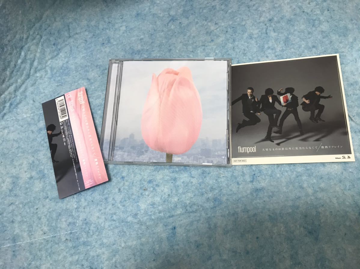 即決 flmpool CD 「大切なものは君以外に見当たらなくて」拍卖