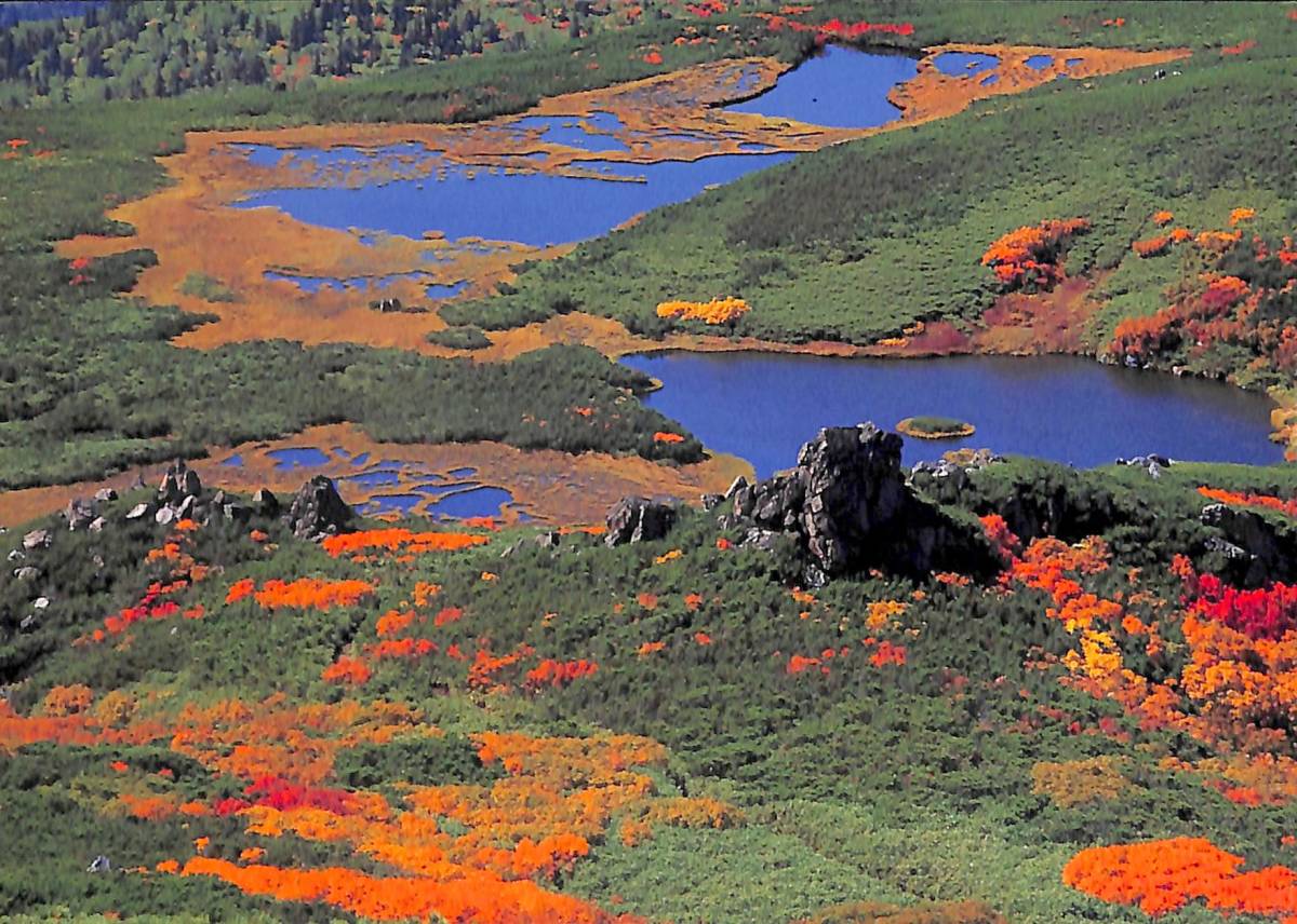 BCL★希少ベリカード★ラジオ・ジャパン+おまけ★SONY★PLLシンセサイザー・レシーバー★ICF-SW55カラーサービスマニュアル付拍卖