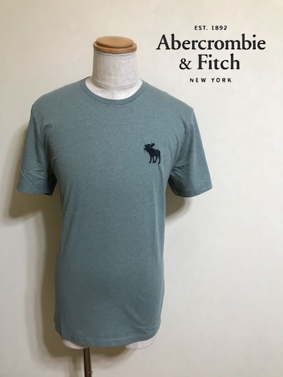 【新品】 Abercrombie & Fitch アバクロンビー&フィッチ エクスプローテッド アイコン Tシャツ サイズXL 半袖 ライトブルーグリーン拍卖