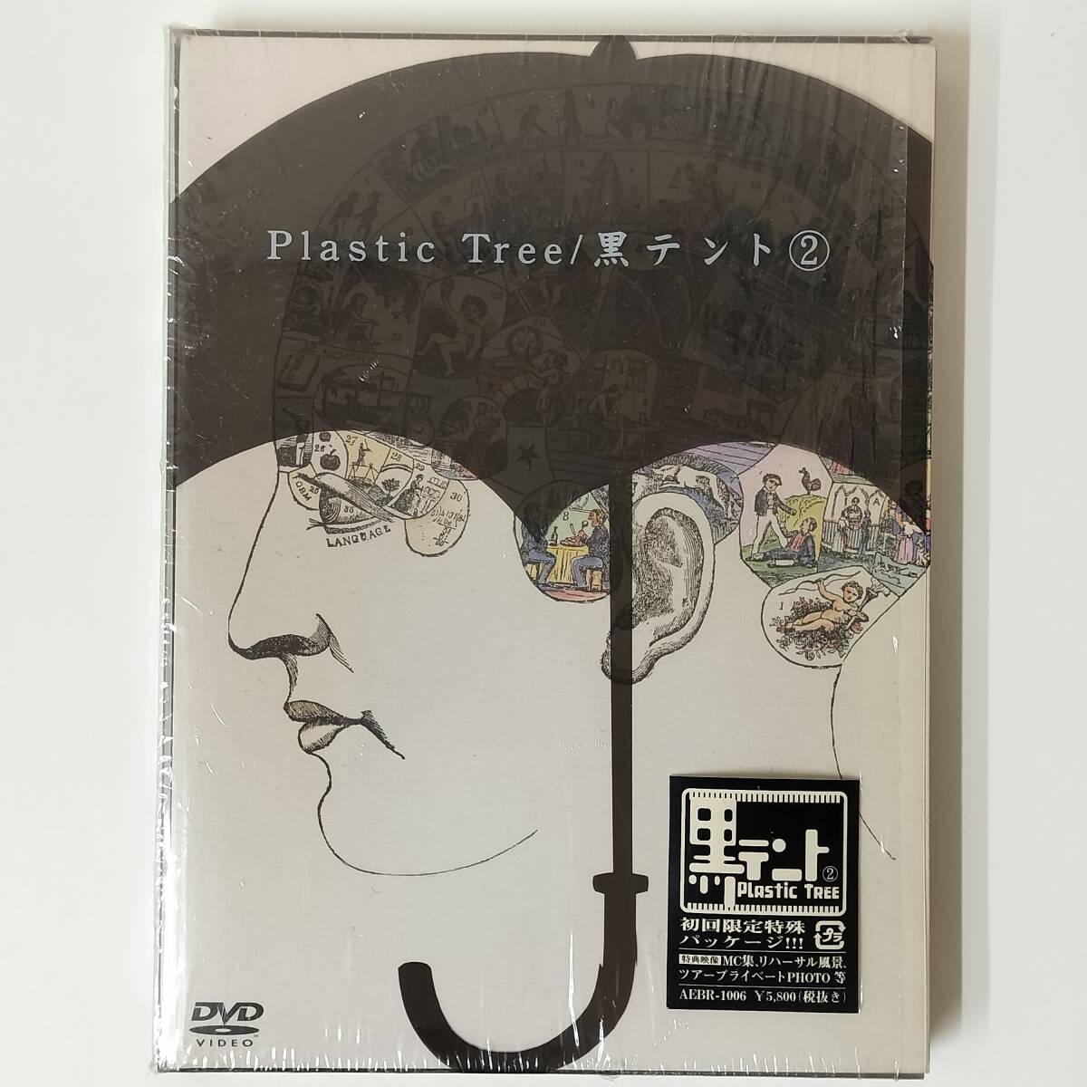 S2114 DVD 見本盤 Plastic Tree / 黒テント② 拍卖