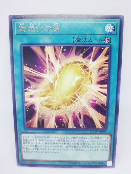 256 dp19-jp009 超進化の繭 レア(R) 遊戯王カード拍卖
