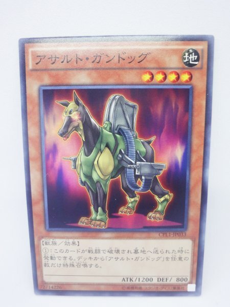 339 cpl1-jp033 アサルト・ガンドッグ ノーマル(N) 遊戯王カード拍卖