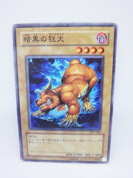 319 307-002 暗黒の狂犬 ノーマル(N) 遊戯王カード拍卖