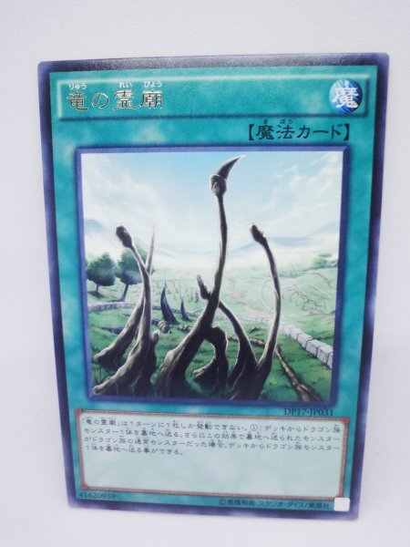 305 dp17-jp031 竜の霊廟 レア(R) 遊戯王カード拍卖