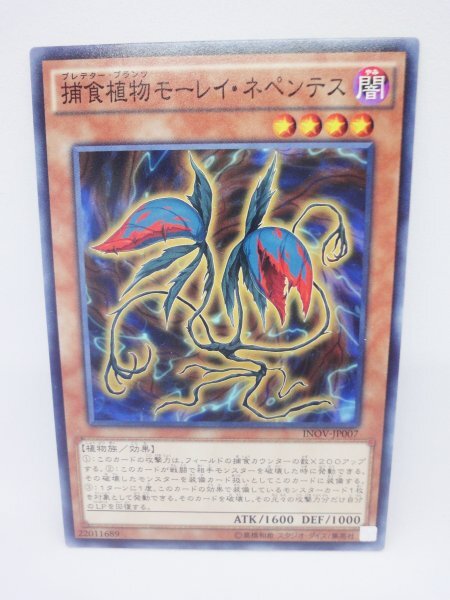 712 inov-jp007 捕食植物モーレイ・ネペンテス ノーマル(N) 遊戯王カード拍卖