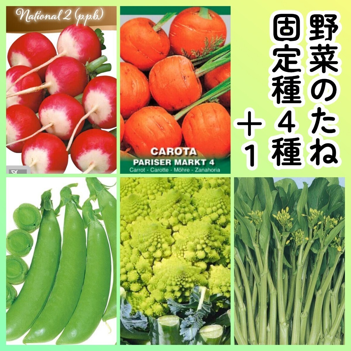 固定種野菜種4+1◆ラディッシュ+丸キャロット玉人参+つるなしスナップエンドウ+カリフラワーロマネスコ+オータムポエム拍卖