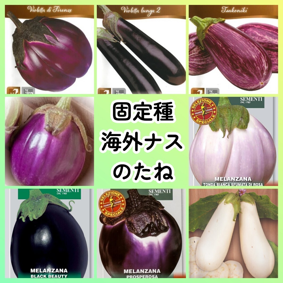 固定種海外ナス種8◆イタリアナスフィレンツェルンガゼブラナスロッサビアンコトンダビアンカブラックビューティープロスペローザブランカ拍卖