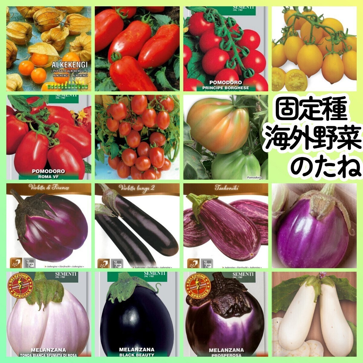 固定種海外野菜種15◆食用ホオズキイタリアントマトナス◆サンマルツァーノボルゲーゼローマフィレンツェゼブラナスロッサビアンコイタリア拍卖