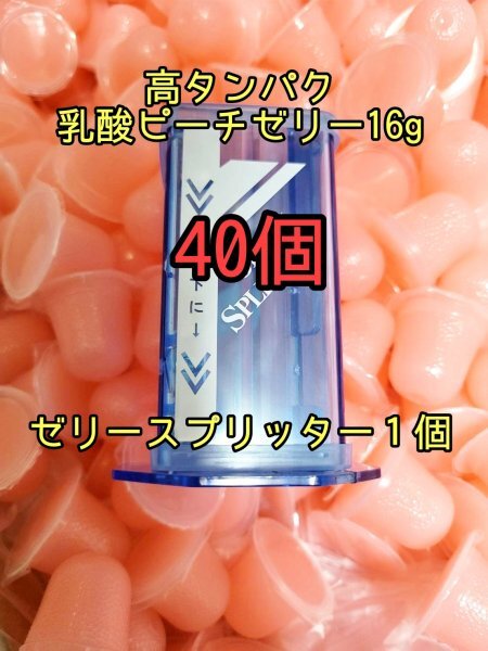 高タンパクピーチゼリー16g 40個 ゼリースプリッター1個 昆虫ゼリー プロゼリー ドルクスゼリー オオクワ カブトムシ モモンガ クワガタ拍卖
