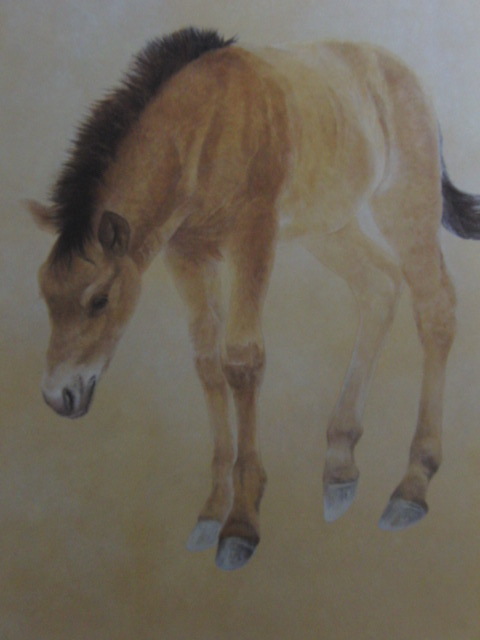 河股幸和、【五月の別れ】、希少な額装用画集より、新品額装付、状態良好、送料込み拍卖