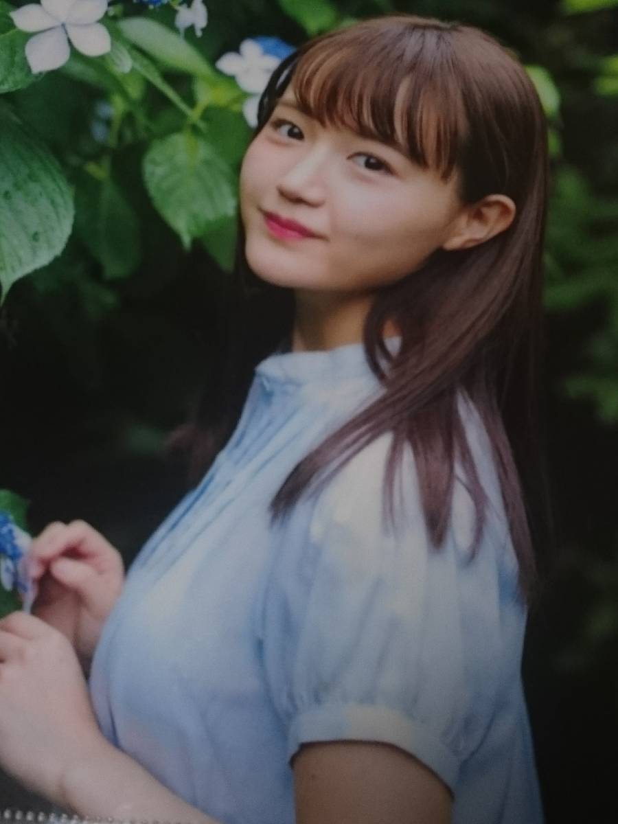 尾崎由香 おざぴゅあ。 声優 クリアファイル 新品 希少品 入手困難 【管理(YF)2020-OYK】拍卖