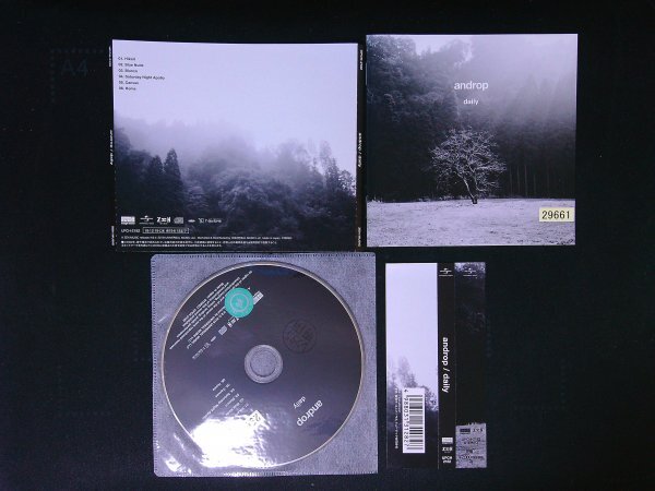 daily CD androp 即決 送料200円 308拍卖