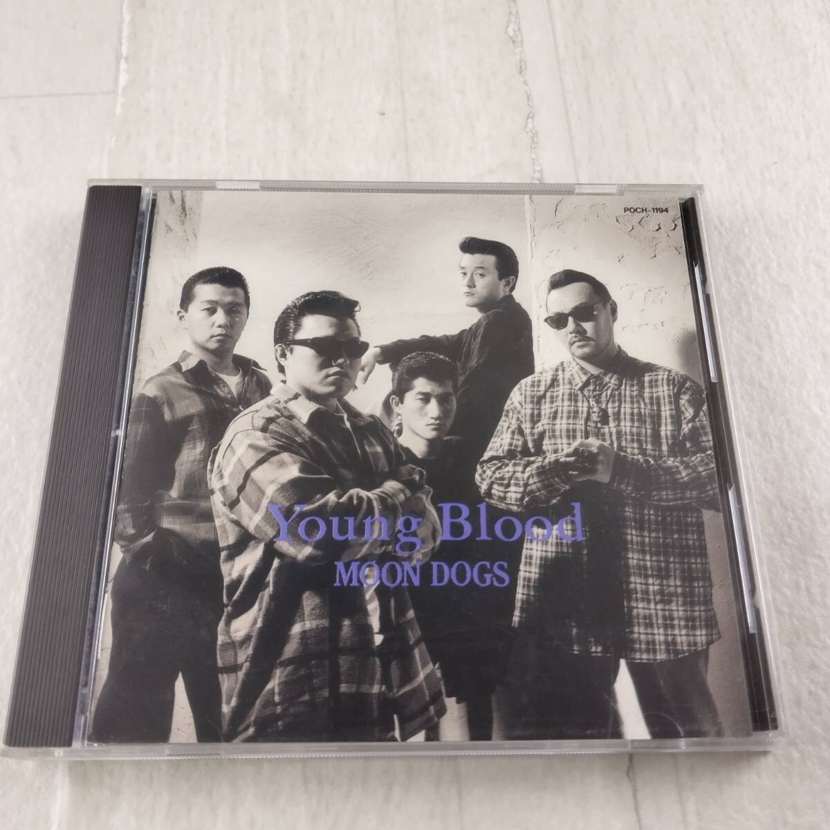 1QC9 CD MOON DOGS Young Blood 帯付き拍卖