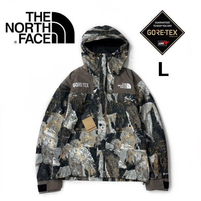 売切り【正規新品】THE NORTH FACE◆GORE-TEX MOUNTAIN JACKET マウンテンジャケット US限定 ゴアテックス 刺繍(L)茶 総柄 180915-MP3-225拍卖