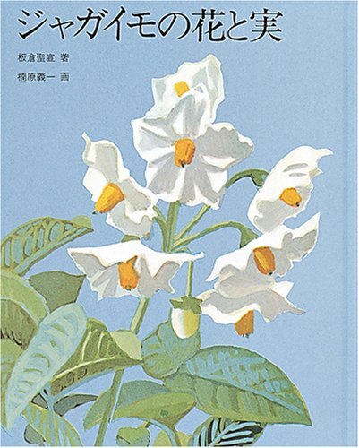 ジャガイモの花と実 (福音館の科学シリーズ) 板倉 聖宣 (著), 楠原 義一 (イラスト)拍卖