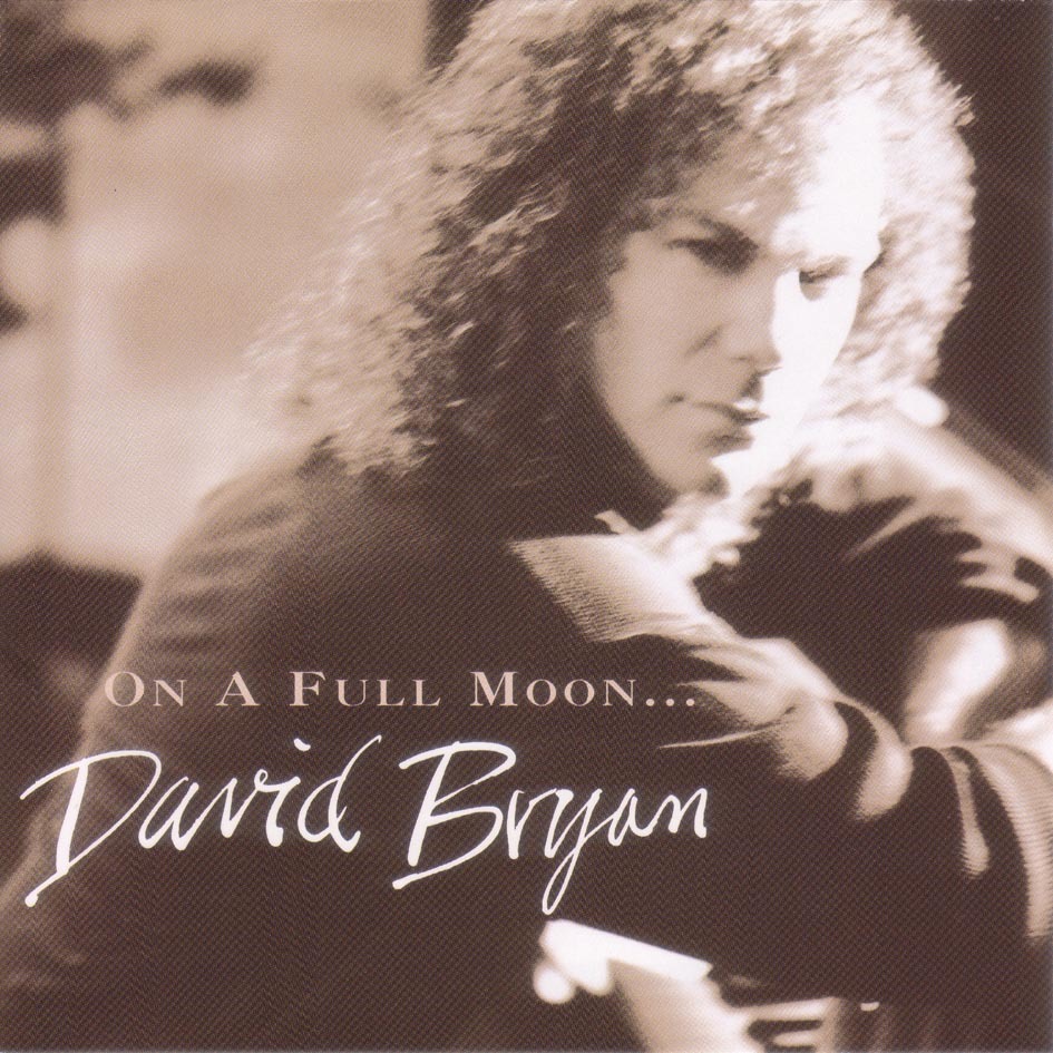 ◇'94国内廃盤◇ David Bryan - On A Full Moon...拍卖