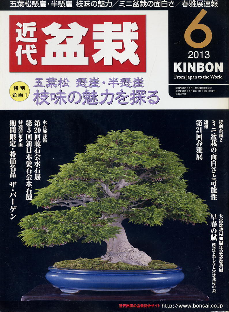 【近代盆栽】★2013.06★五葉松 懸崖 半懸崖 枝味の魅力を探る拍卖