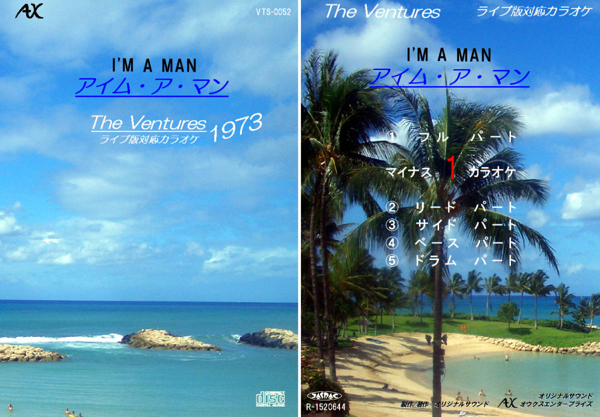 VTS-052 ベンチャーズカラオケ アイム・ア・マン 1973 試聴OK コード譜閲覧可 THE VENTURES I'M A MAN拍卖
