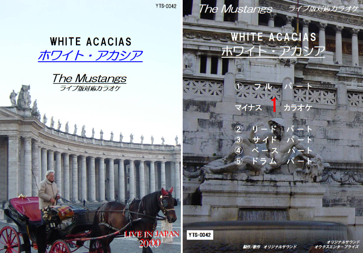YTS-042 ムスタングスカラオケ ホワイト・アカシア (ライブVer.) 試聴OK コード譜閲覧可 The Mustangs WHITE ACACIAS拍卖